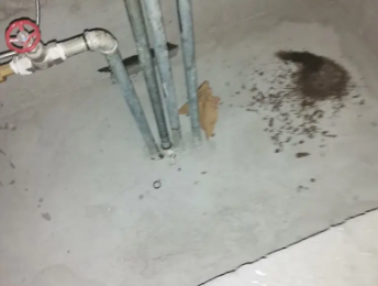 雨花台卫生间测漏水价格明细